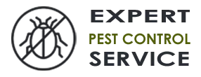 Emergency Exterminator Company Everett WA